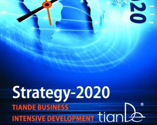 Poznámkový blok - Strategie TianDe